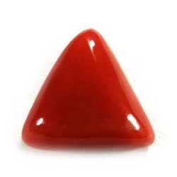 Munga (Coral)
